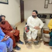 STEP Foundation Special Wing